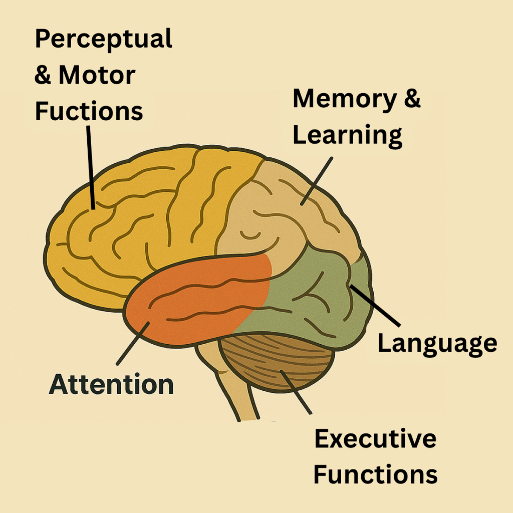 Brain diagram highlighting cognitive functions affected by injury